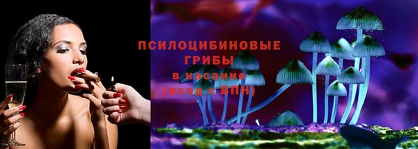 трава Балахна