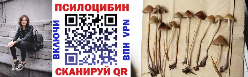 Псилоцибиновые грибы Psilocybine cubensis  Сегежа 